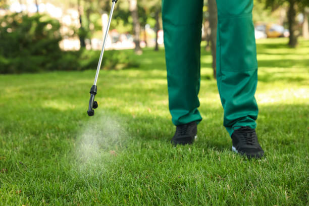 Best Termite Control Services  in Augusta, ME