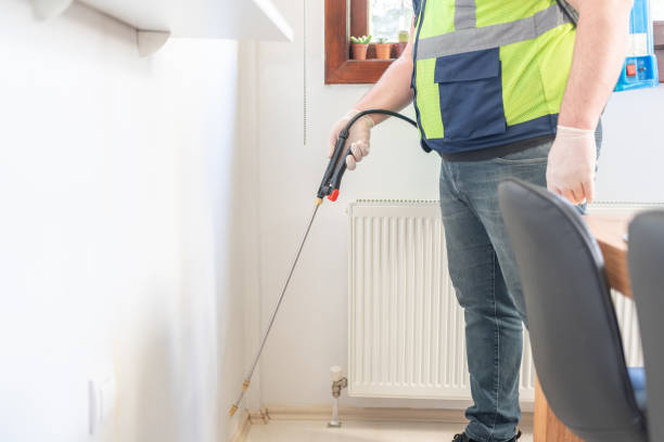 Best Pest Control Near Me in Augusta, ME